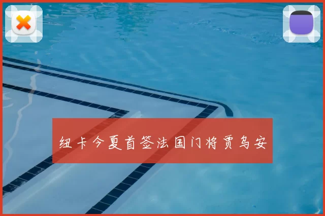 纽卡今夏首签法国门将贾乌安