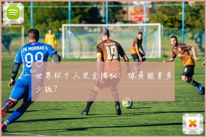 世界杯个人奖金揭秘：球员能拿多少钱？