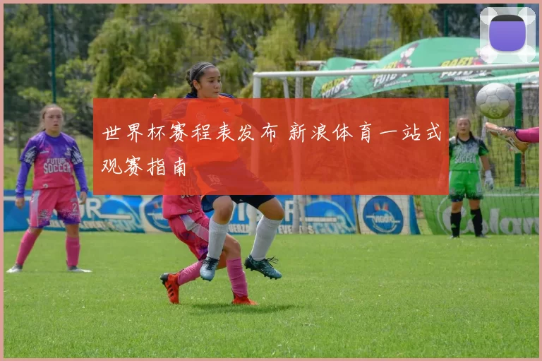 世界杯赛程表发布 新浪体育一站式观赛指南