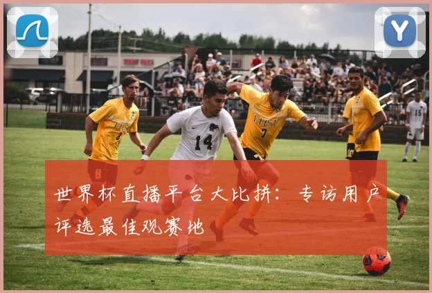 世界杯直播平台大比拼：专访用户评选最佳观赛地