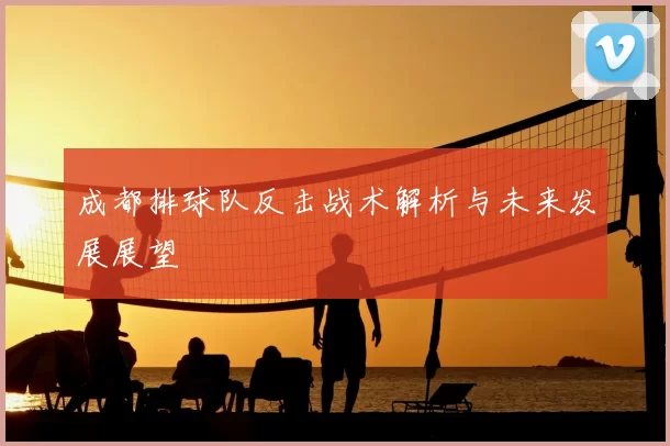 成都排球队反击战术解析与未来发展展望