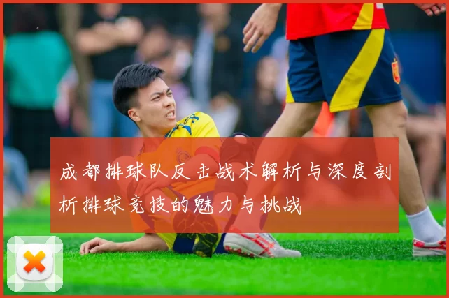 成都排球队反击战术解析与深度剖析排球竞技的魅力与挑战