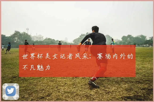 世界杯美女记者风采:赛场内外的不凡魅力