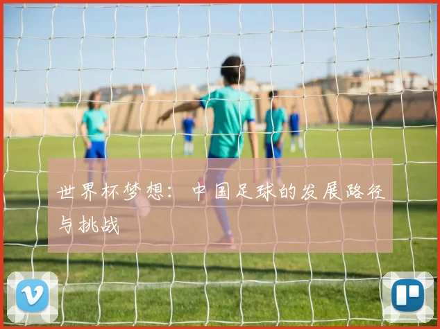 世界杯梦想:中国足球的发展路径与挑战