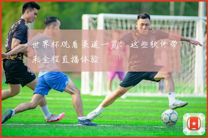 世界杯观看渠道一览:这些软件带来全程直播体验