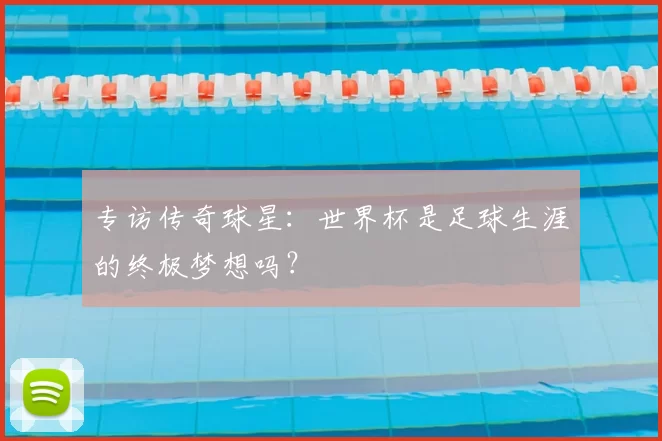 专访传奇球星：世界杯是足球生涯的终极梦想吗？