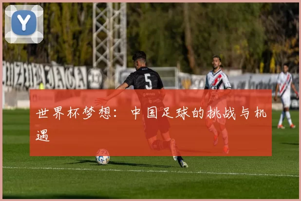 世界杯梦想:中国足球的挑战与机遇