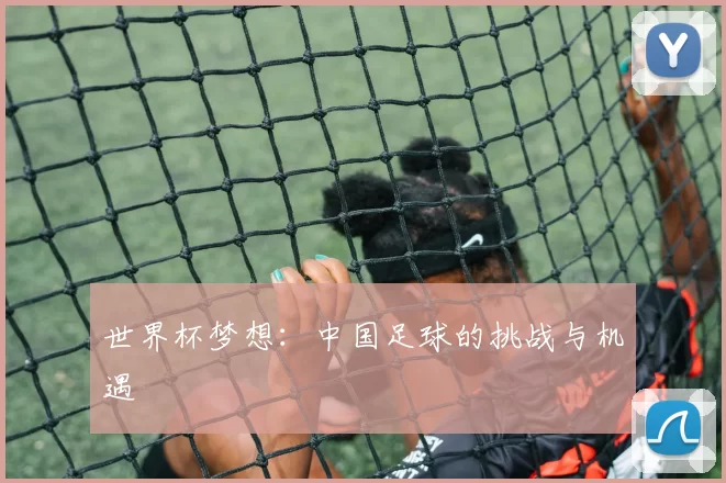 世界杯梦想:中国足球的挑战与机遇