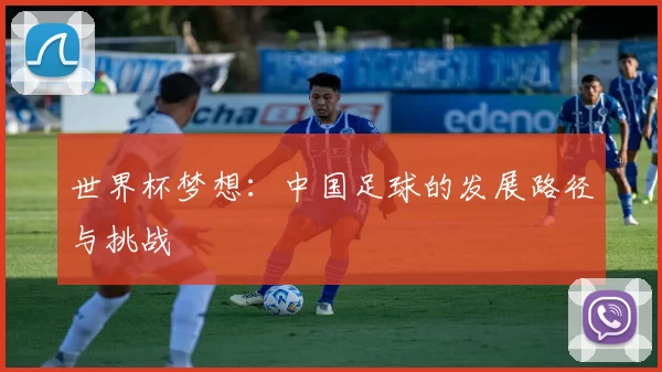 世界杯梦想:中国足球的发展路径与挑战