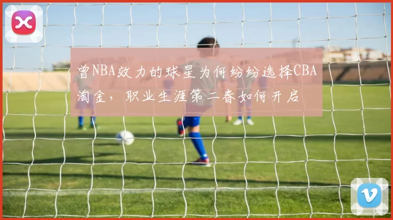曾NBA效力的球星为何纷纷选择CBA淘金,职业生涯第二春如何开启