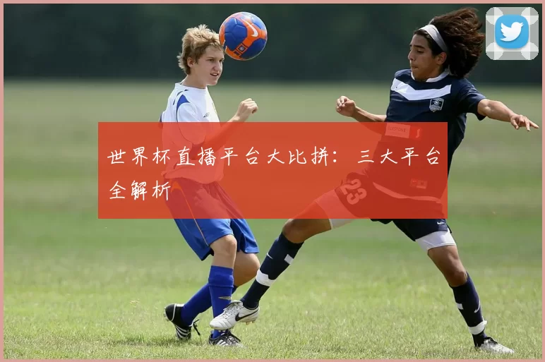 世界杯直播平台大比拼:三大平台全解析