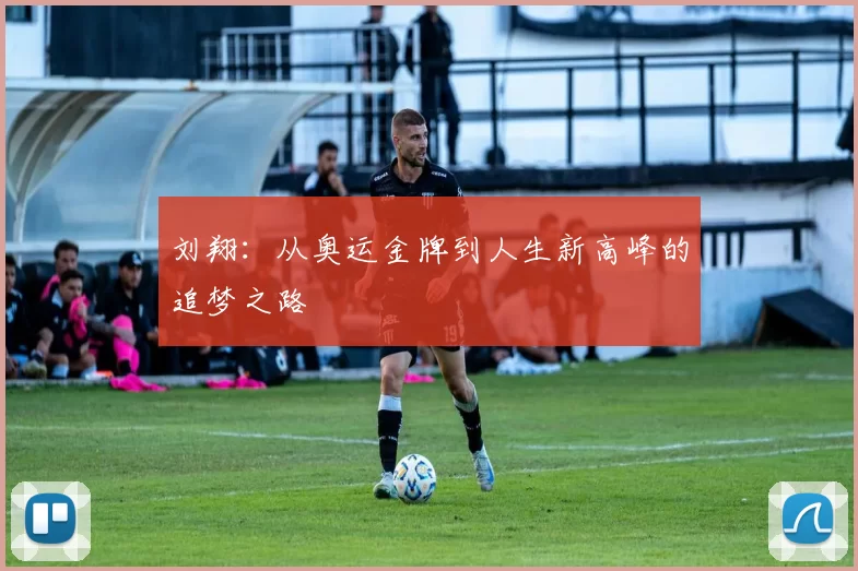 刘翔:从奥运金牌到人生新高峰的追梦之路