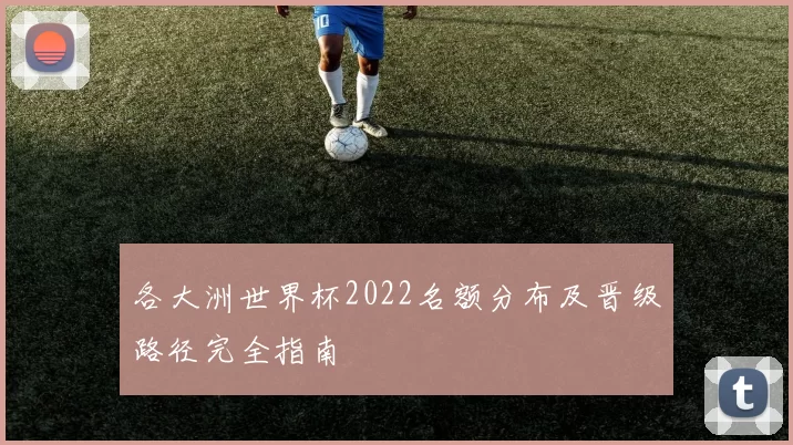 各大洲世界杯2022名额分布及晋级路径完全指南